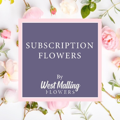 Spring Subscription Flowers