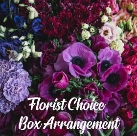 Box Arrangement
