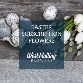 Happy Easter Subscription flowers