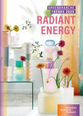 Embracing the 'Radiant Energy' Trend for 2025