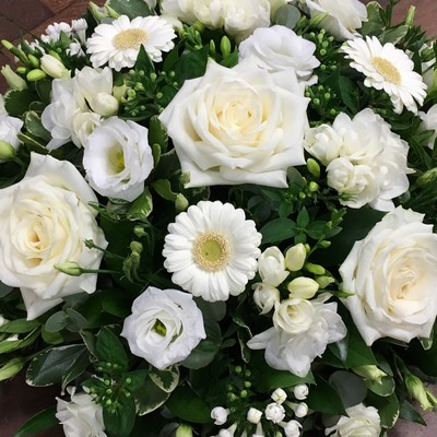 White Posy