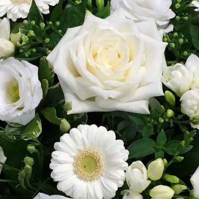 White Posy