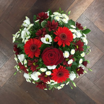 Red and White Posy