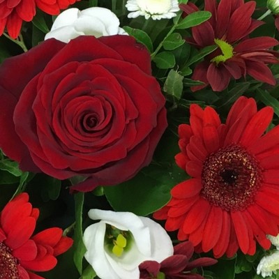 Red and White Posy