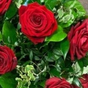 Red Roses Spray