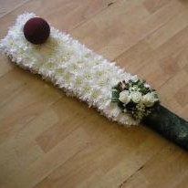 Cricket Bat