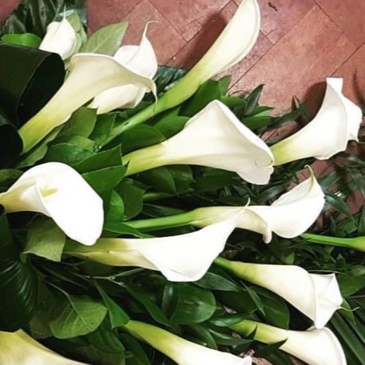 Calla Lily Sheaf