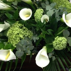 Calla Lilly Spray