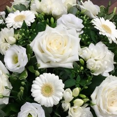 White Posy