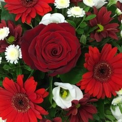 Red and White Posy