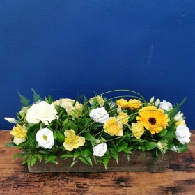 Trough Arrangement