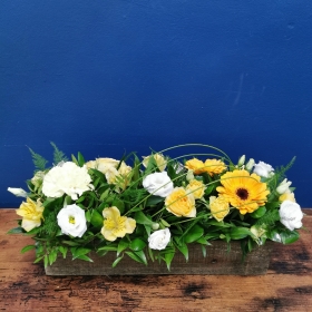 Trough Arrangement